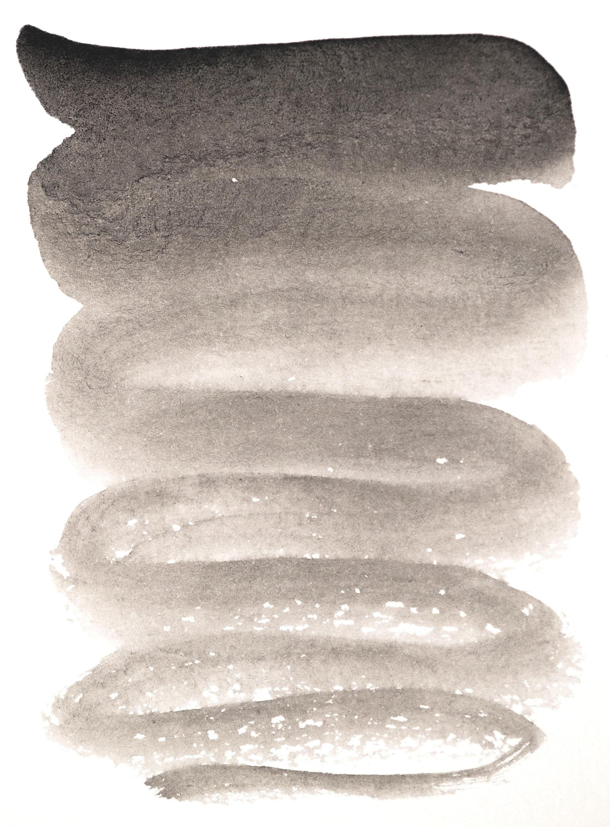 Marine-derived sepia swatch showing a flowing gradient from dark warm brown to light smoky tan. Sourced from natural cuttlefish ink, it offers a soft, organic character perfect for drawing, historical ink work, and tonal sketching.