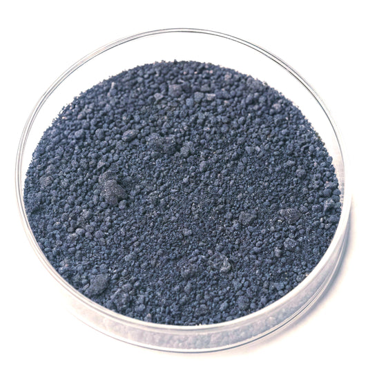 Tyrian Purple Murex trunculus Pigment