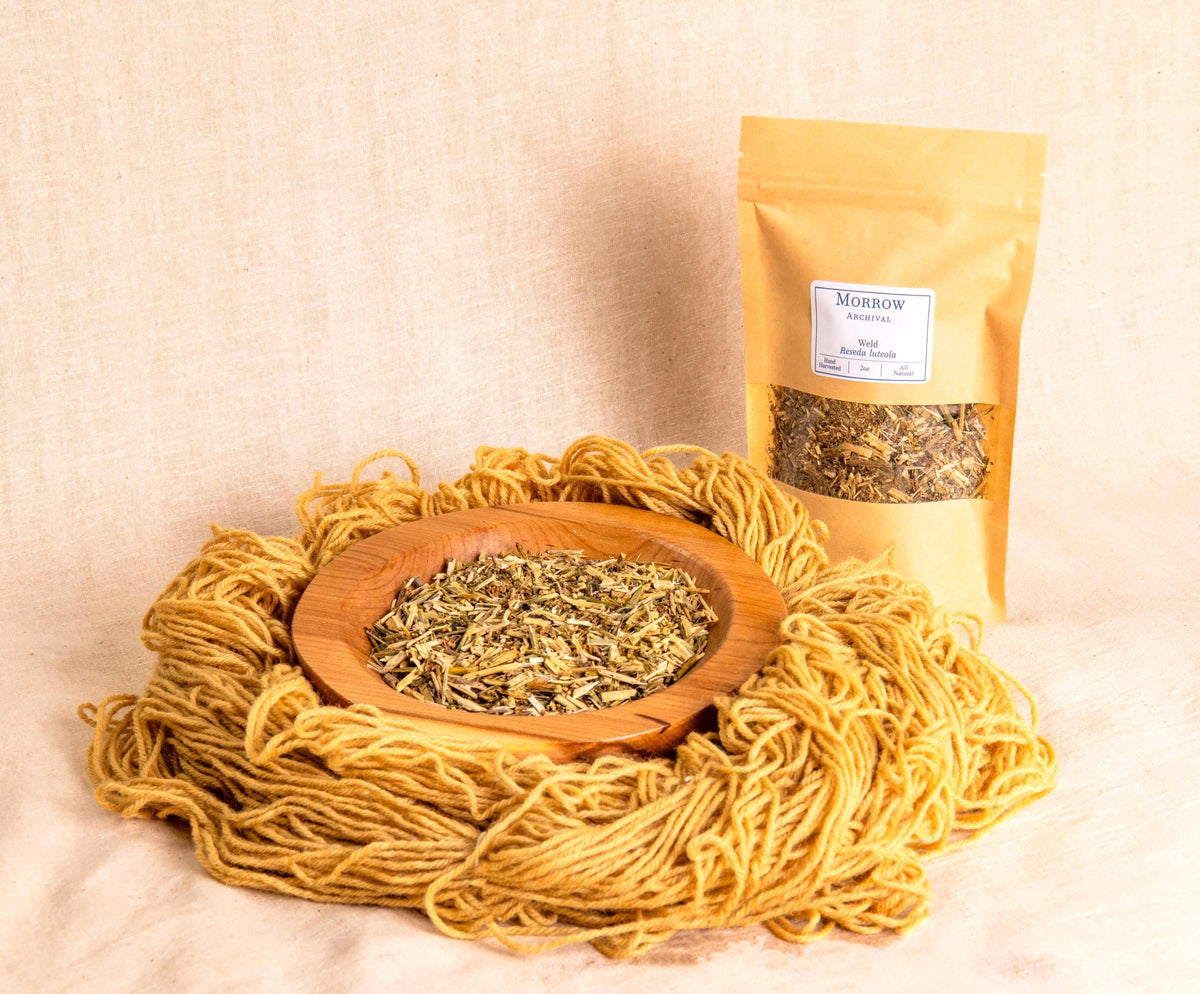 Weld Dye by Morrow Archival, shown as a soft yellow powder in a wooden bowl, alongside brilliant yellow-dyed wool yarn and a labeled kraft pouch. Derived from Reseda luteola, one of the oldest known yellow dye plants, weld produces clear, lightfast yellows used in medieval European tapestries and botanical dye traditions. Perfect for natural dyeing, historic reproduction, and sustainable fiber arts seeking luminous plant-based color.