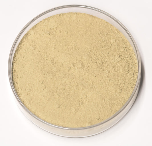 Carpathian Terre Verte Green Earth Pigment