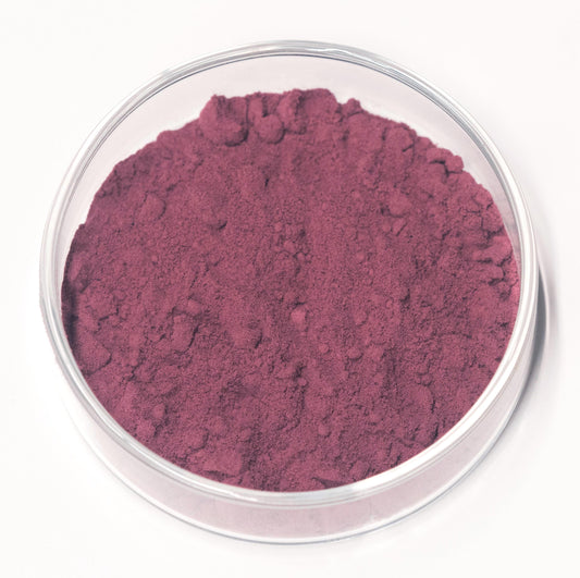 Tyrian Purple Bolinus Brandaris Pigment